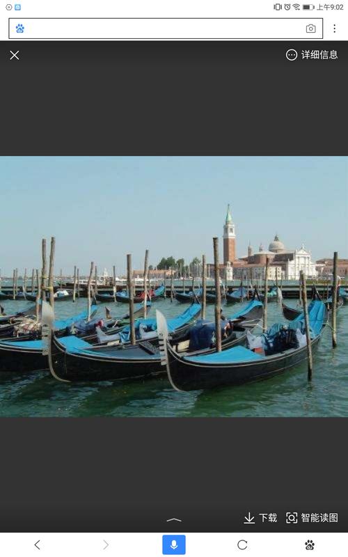 如威尼斯小艇被称为（威尼斯的小艇被誉为）